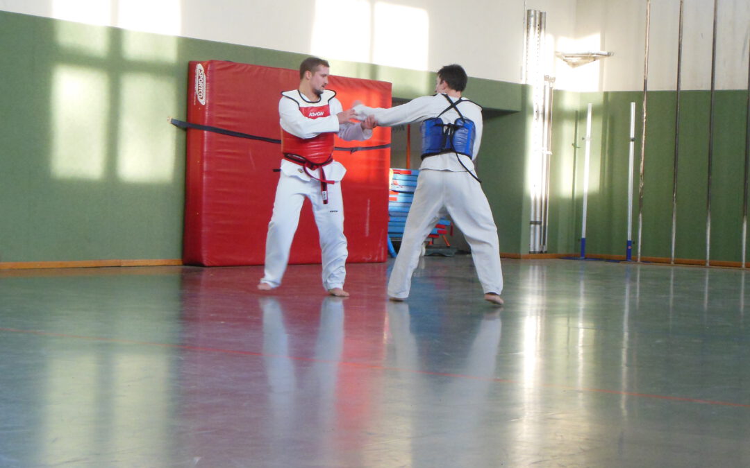 08.12.2012 – Landesdanprüfung Taekwondo