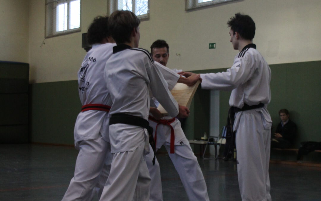 14.12.2013 – Landesdanprüfung Taekwondo